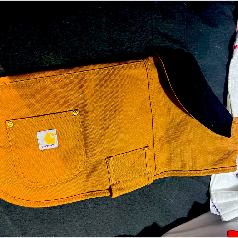 Dog’s Carhartt jacket
